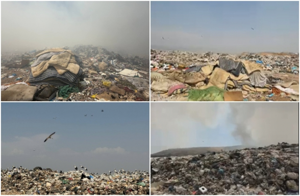 Նուբարաշենը թույնի մեջ է, Երևանը՝ պատանդ․ Սոնա Աղեկյան (տեսանյութ)